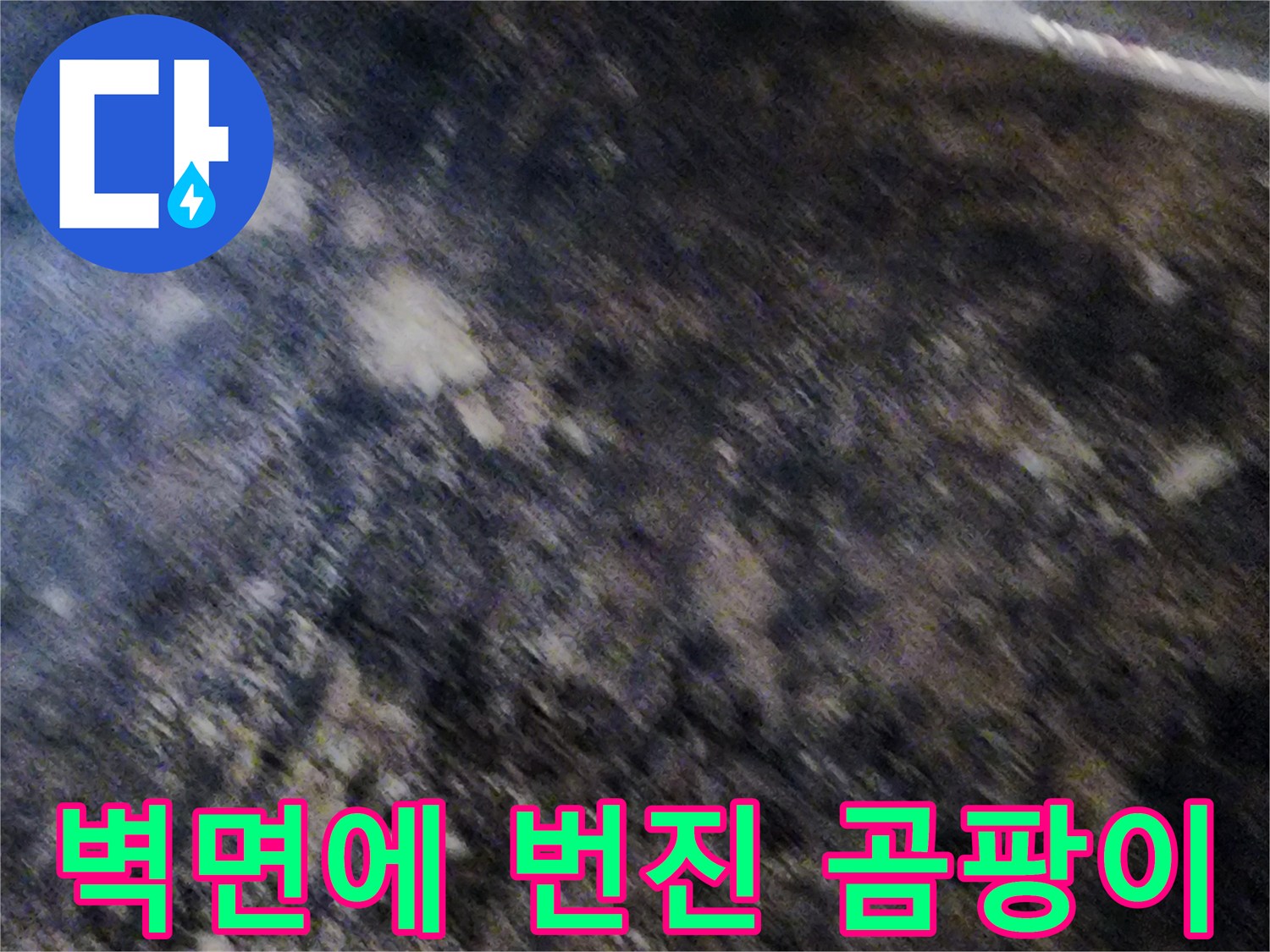 지하 공간 내부-곰팡이가 심하게 발생한 벽면 상태