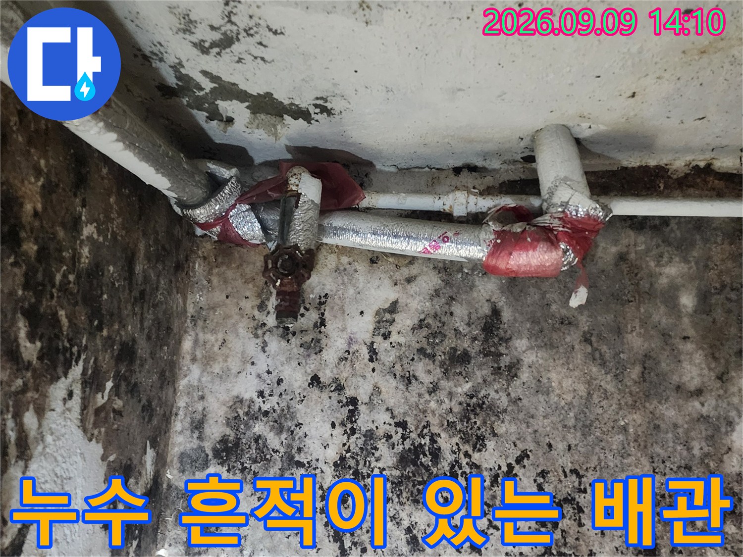 지하 배관 주변-배관 부속과 벽면에 곰팡이가 번져있는 현장 모습입니다.
