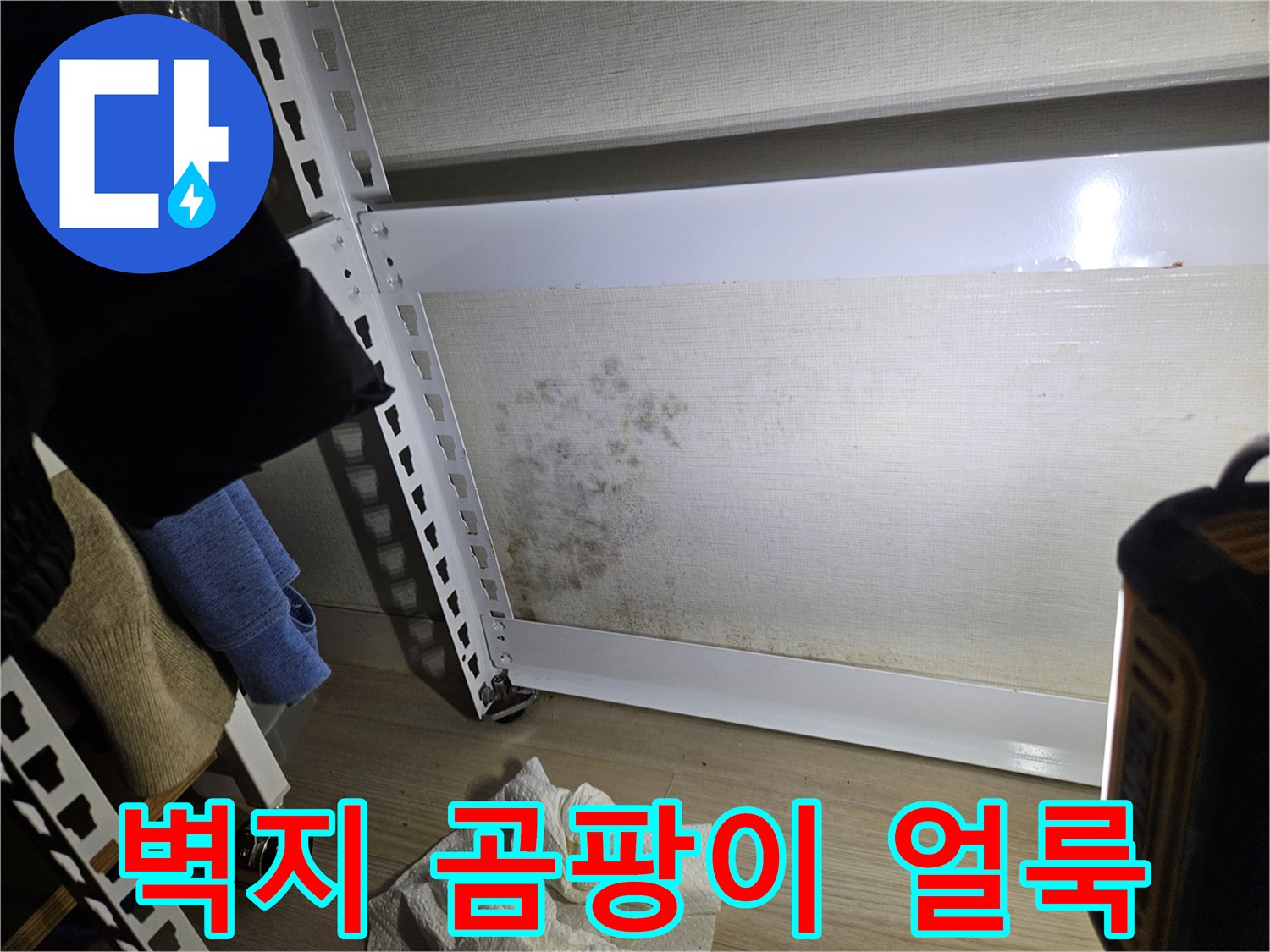 거실 벽면의 곰팡이 오염-누수 원인 파악 중