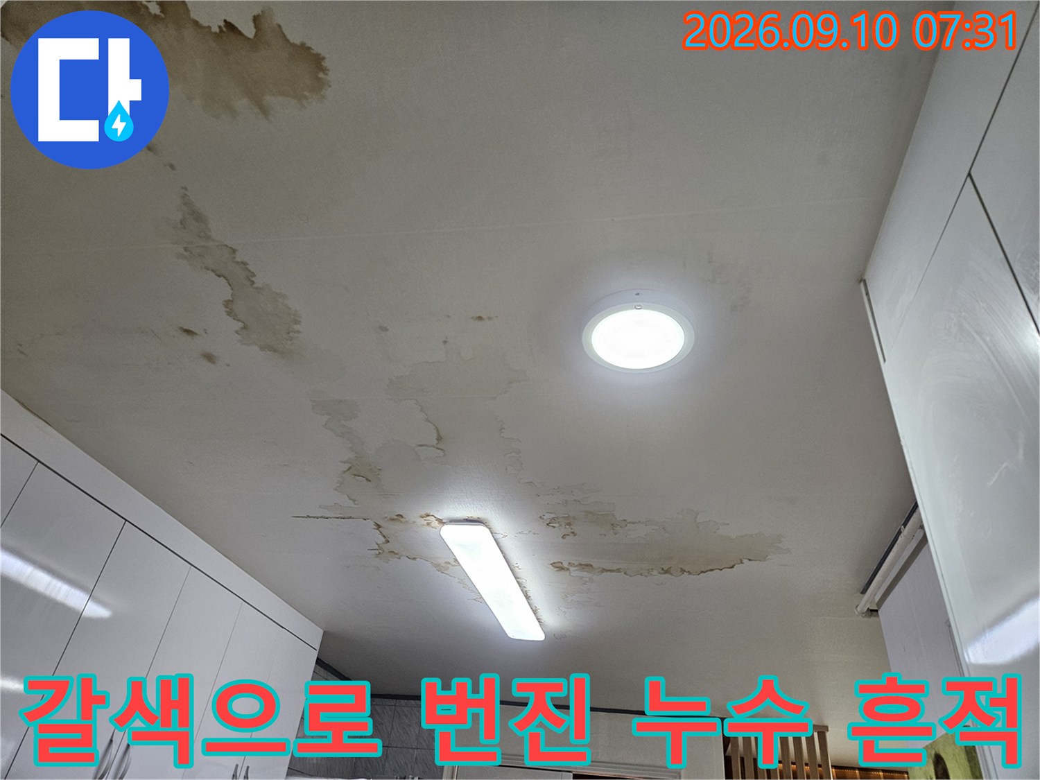 누수로 인해 장판 바닥에 넓게 퍼져 있는 갈색 물자국 현장