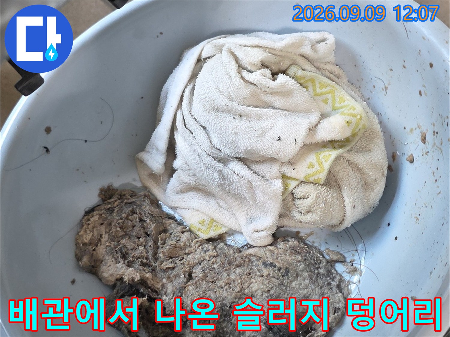 남양주 덕소리 현장에서 추출한 배관 내부의 머리카락과 오염물질 덩어리입니다.