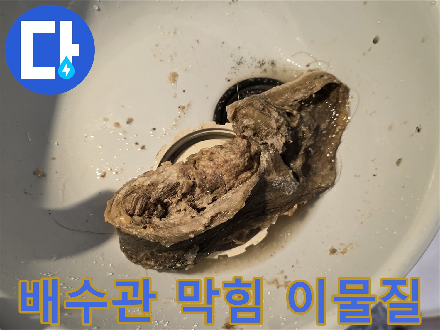 배관-세척-후-추출된-머리카락-오물-덩어리