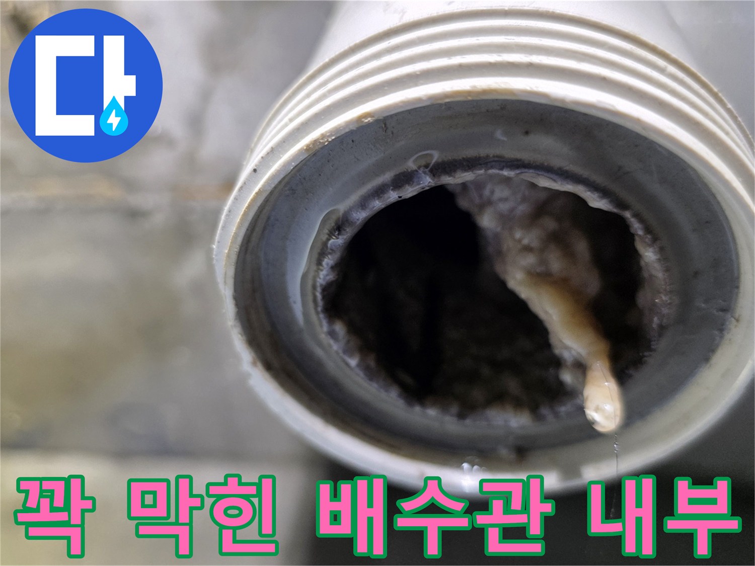 이물질로-가득-찬-욕실-배수관-입구-상태