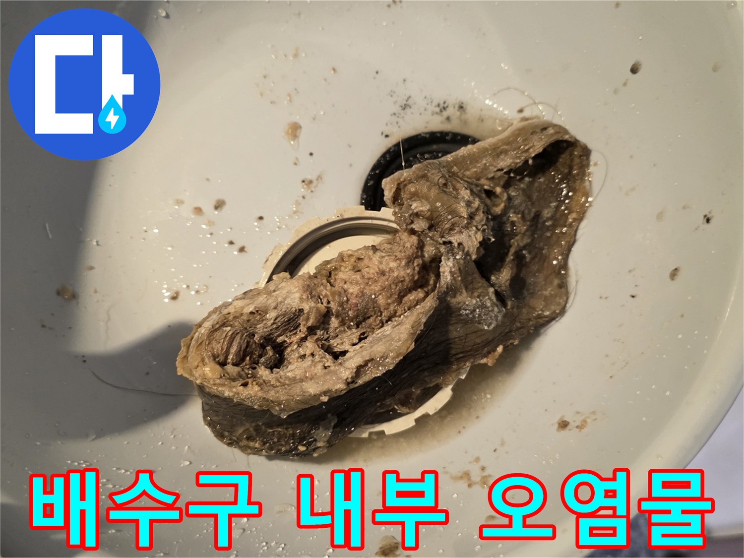 하수구-배관에서-추출한-머리카락-및-오물