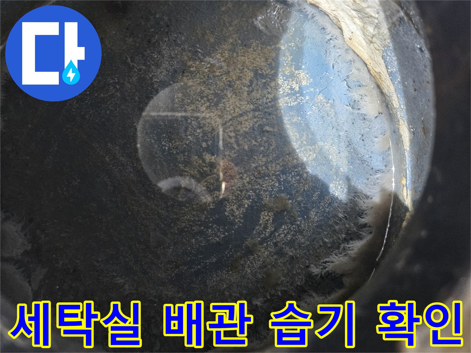세탁실-천장-배관-주변-습기-및-물샘-흔적