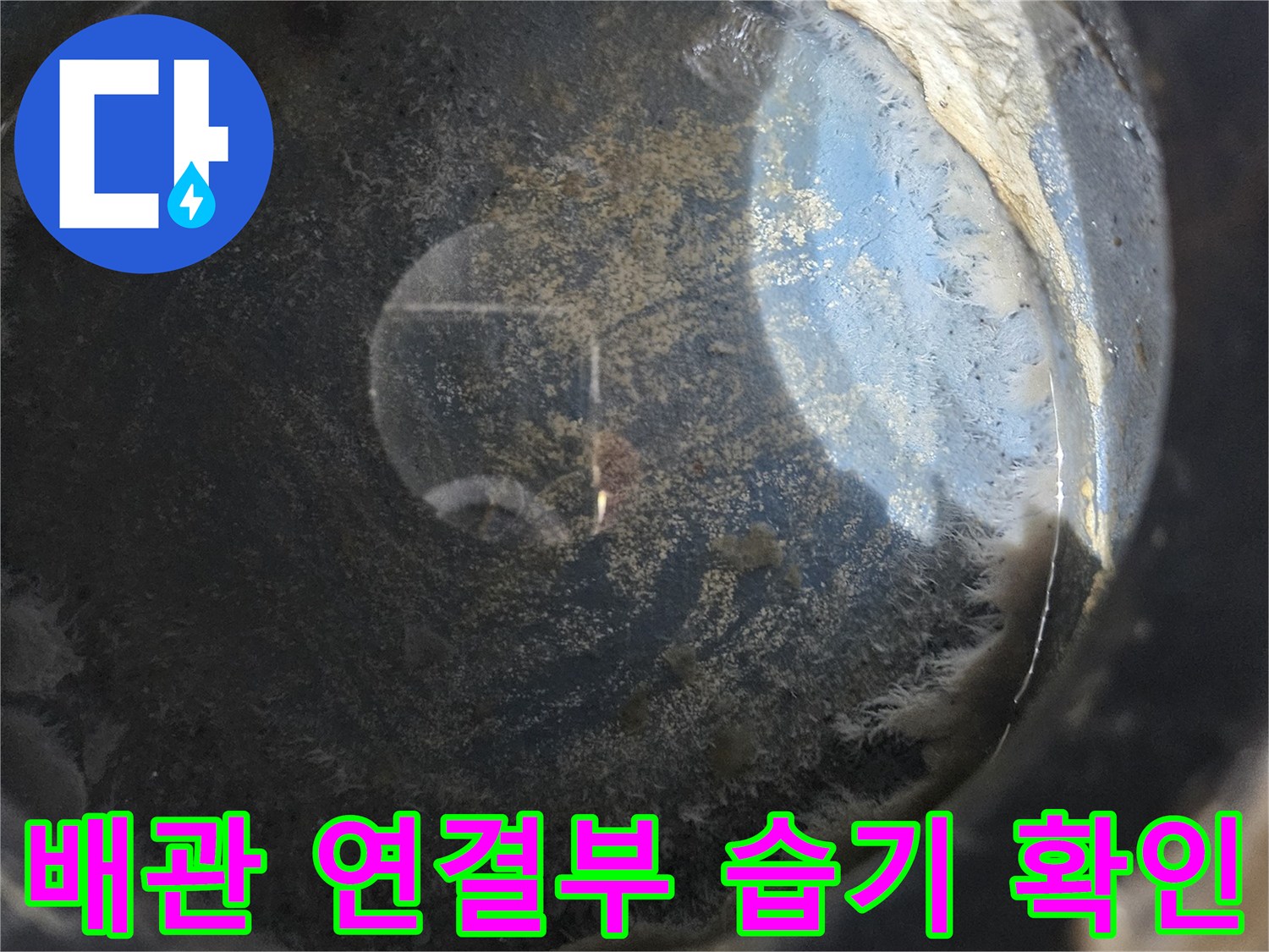 처인구 다용도실-배관 연결 부위의 습기와 얼룩을 점검하는 장면