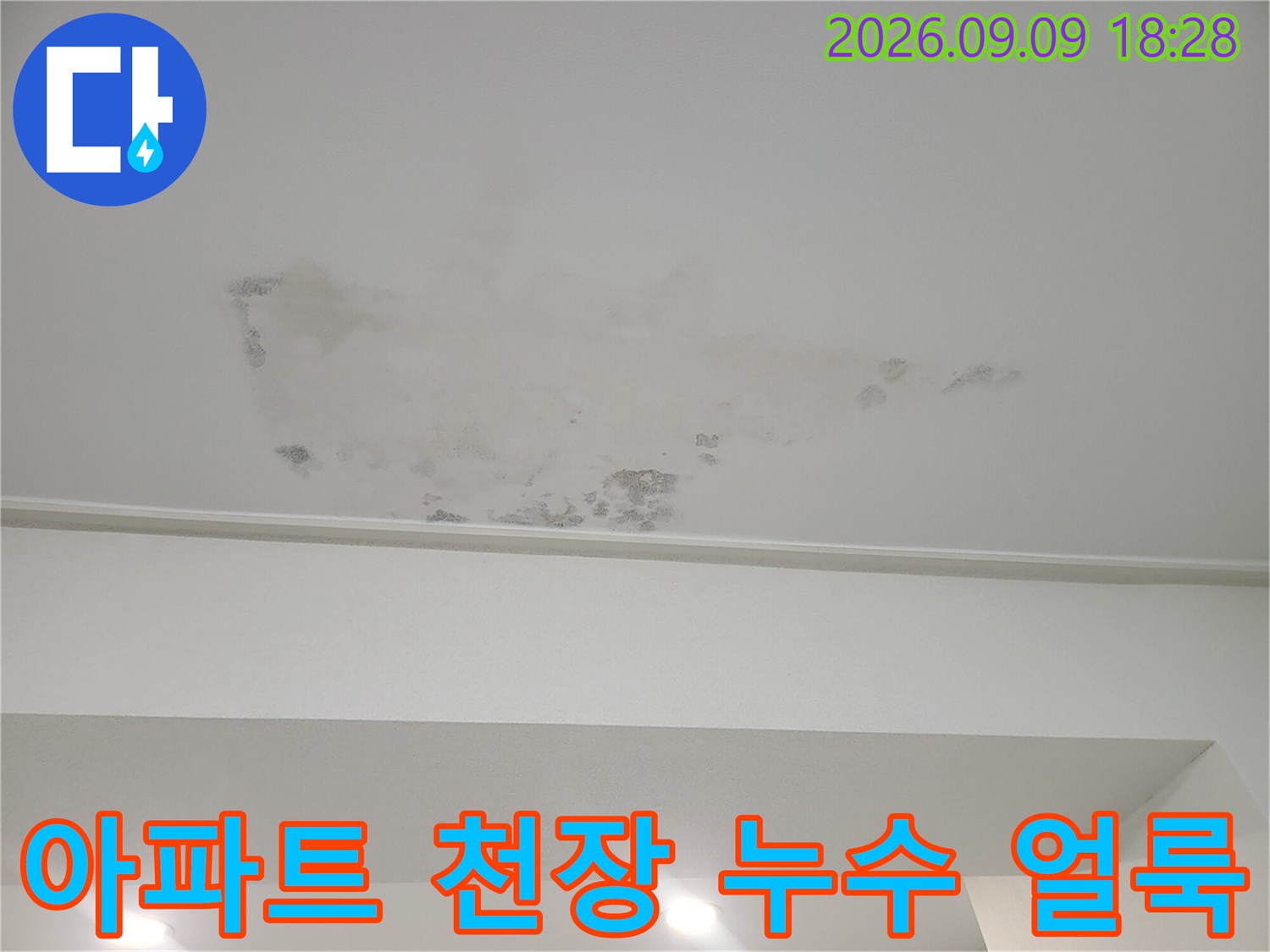 수원 영통구 아파트-천장면에 발생한 넓은 물얼룩과 곰표 현상