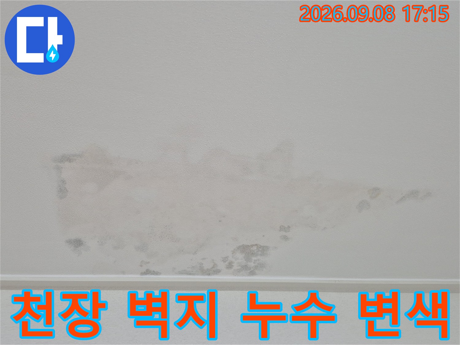 영통동 아파트-천장 벽지가 물에 젖어 어둡게 변색된 누수 피해 현장 사진