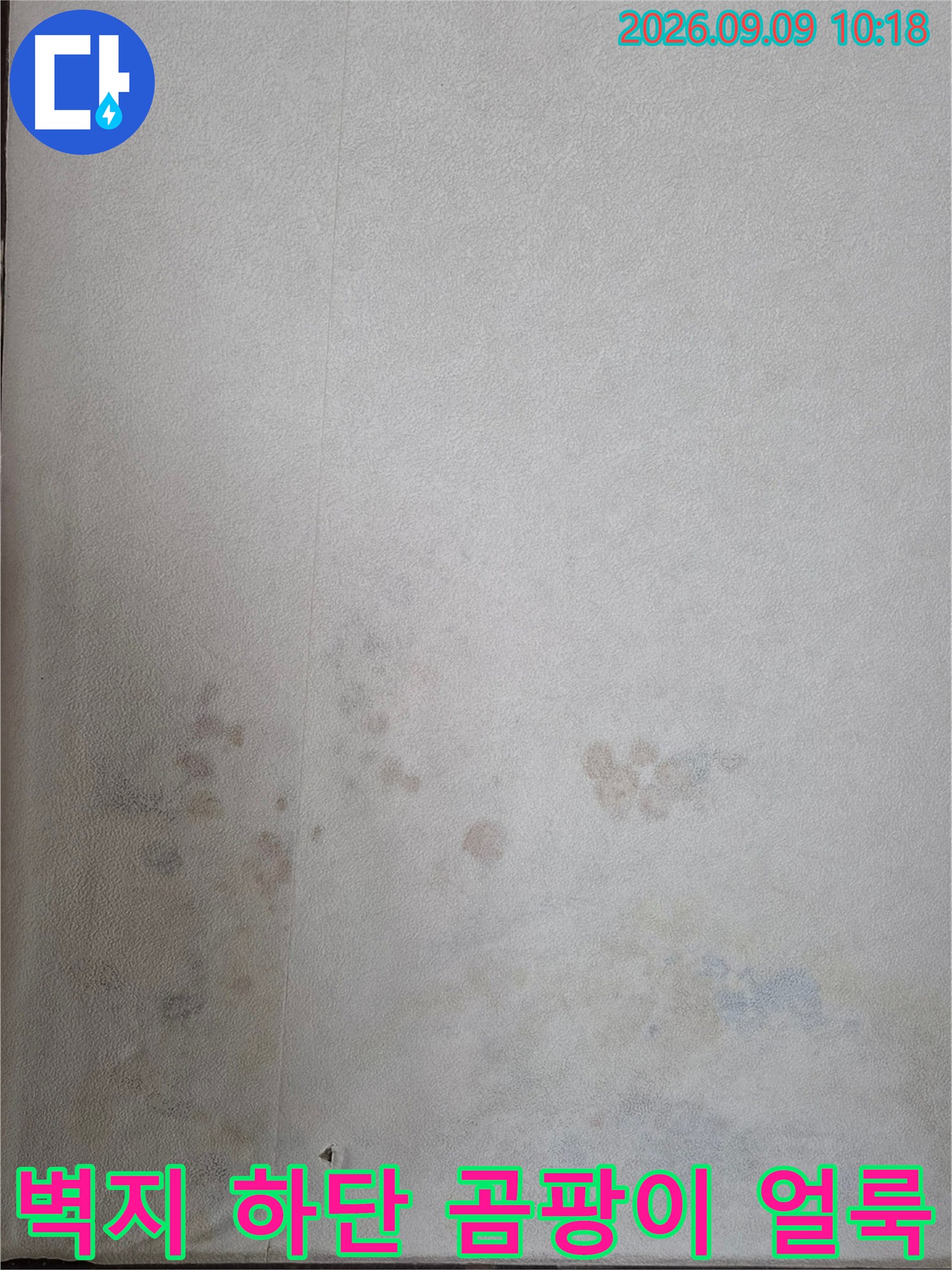 인천 연수구 송도동-벽지 하단부에 발생한 누수 흔적과 곰팡이 상태