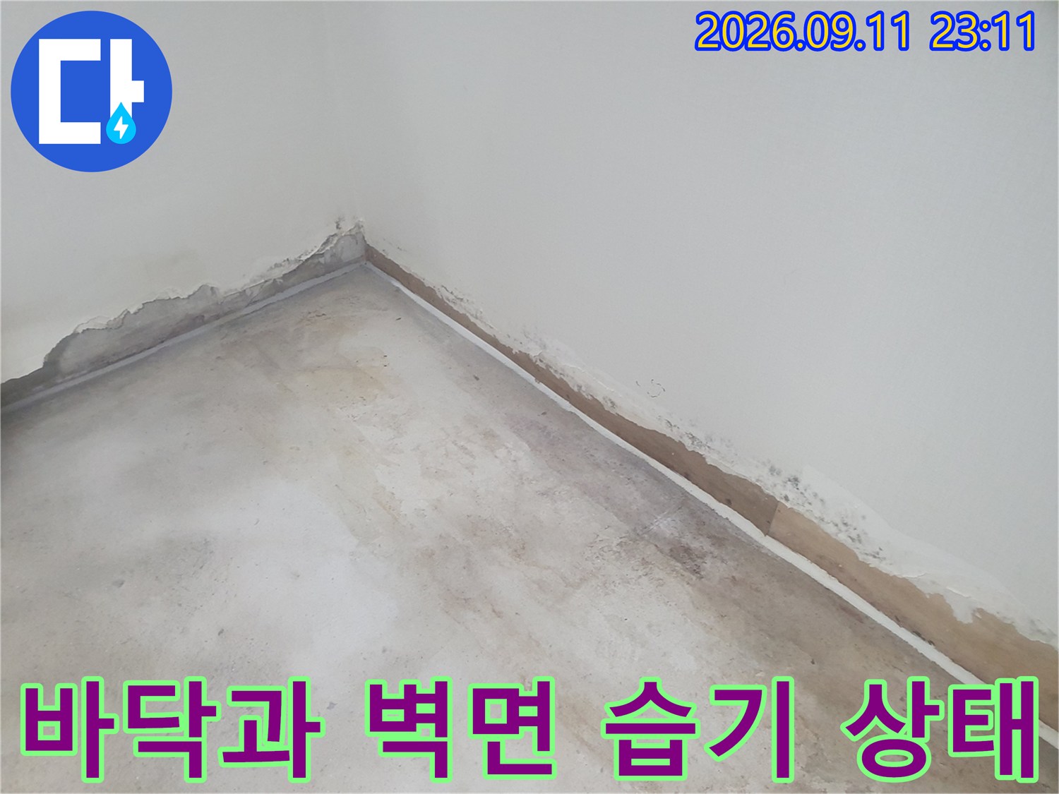 습기가 스며든 벽체 하단-바닥 경계의 오염된 현장 모습