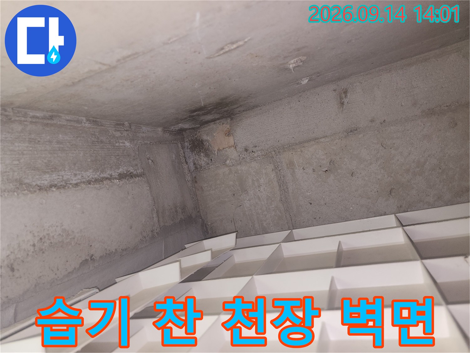 욕실 천장 구석-물자국과 곰팡이가 번진 벽면 부위
