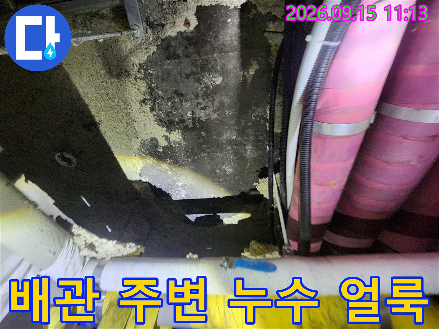 습기로 인해 변색된 천장 마감재와 분홍색 보온재가 씌워진 배관의 모습입니다.