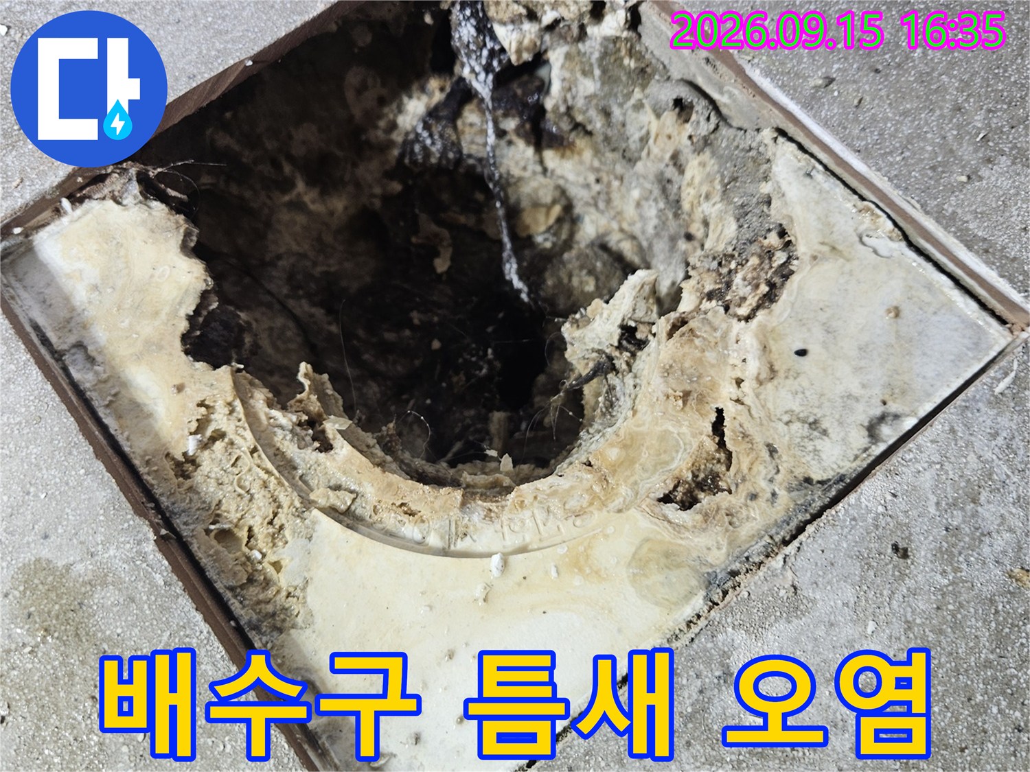 유가 주변의 벌어진 틈과 검은 곰팡이로 가득한 배수구 상태입니다.