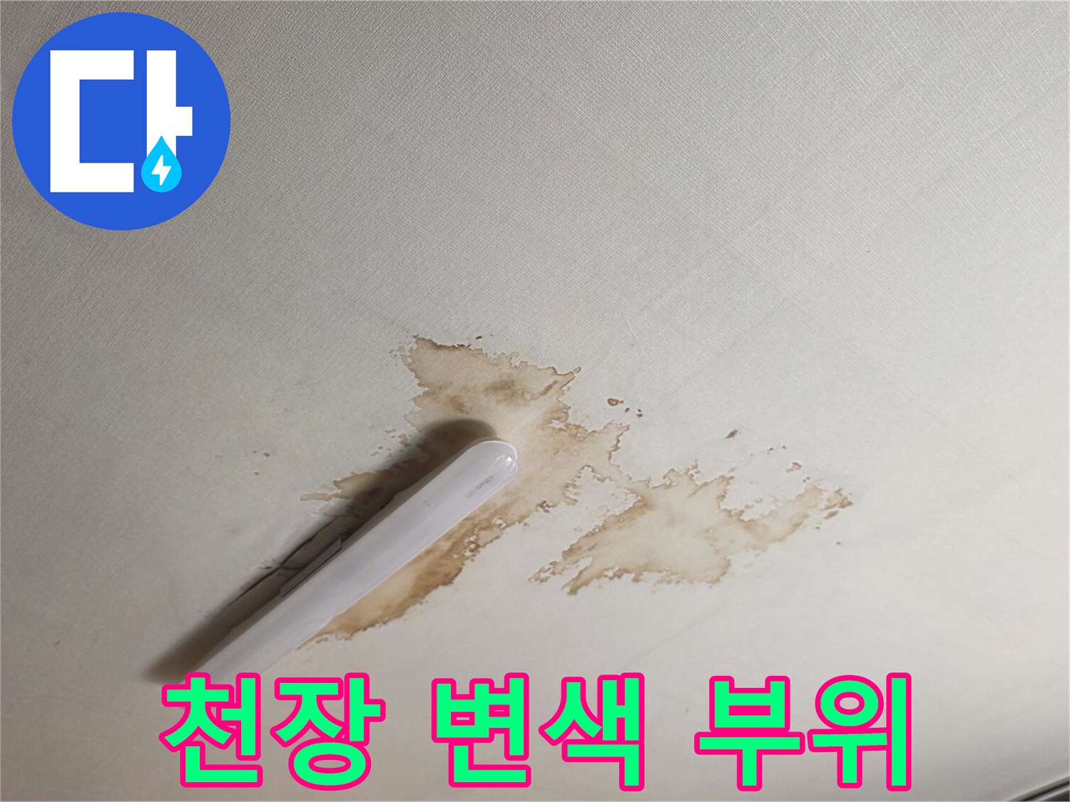 물샘으로 인해 갈색으로 오염된 천장 텍스 면적