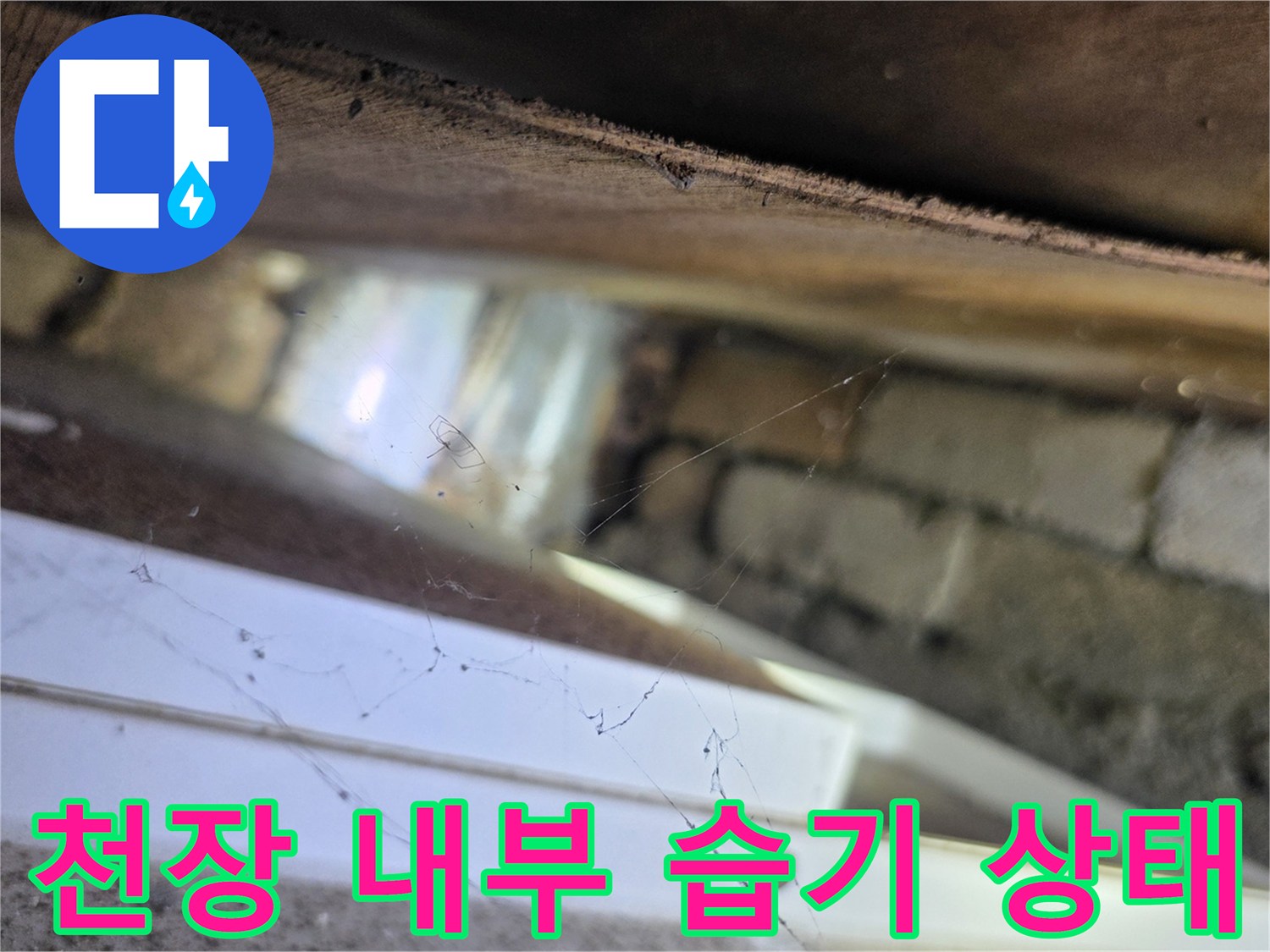 서초구 양재동 현장-천장 텍스 내부의 습기와 배관 주변 상태