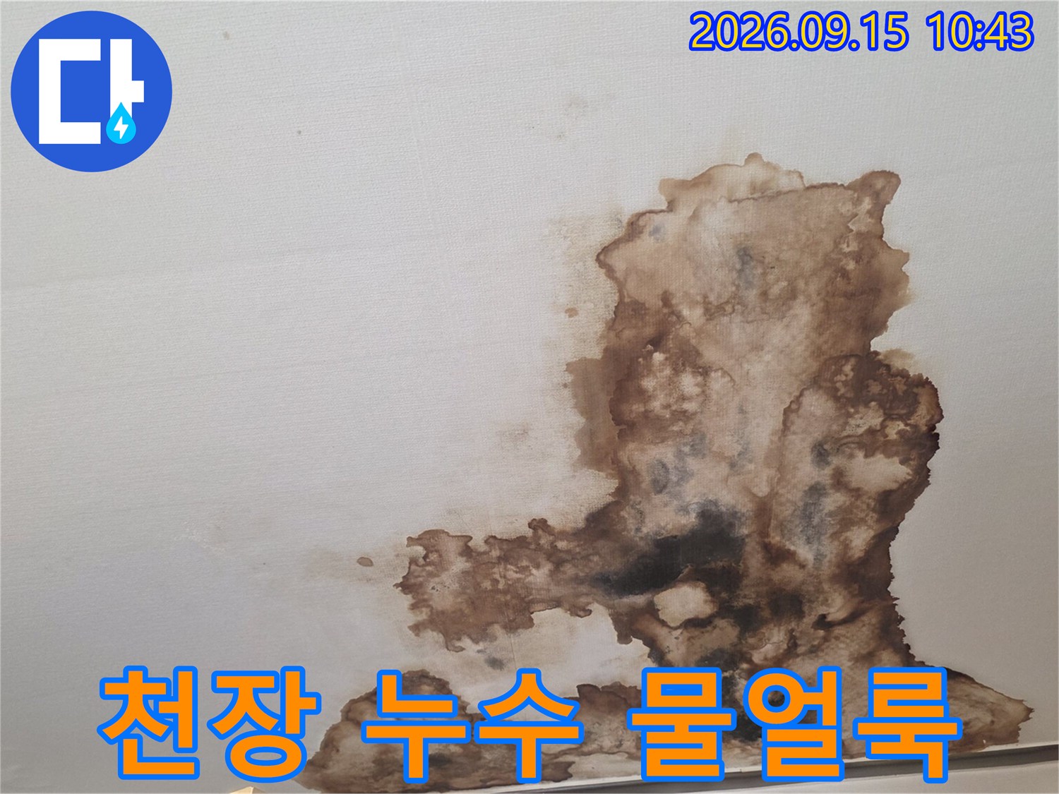 서초구 양재동 현장의 천장 누수로 인한 갈색 물자국 상태