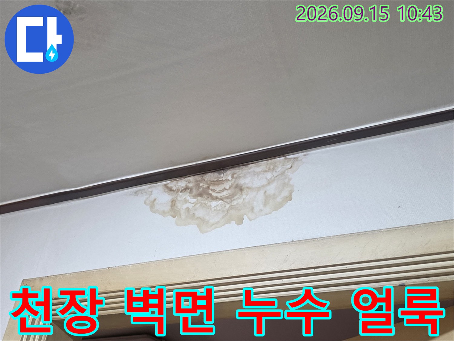 서초구 양재동 현장의 천장과 벽면 경계 부위에 발생한 갈색 물 얼룩 사진입니다.