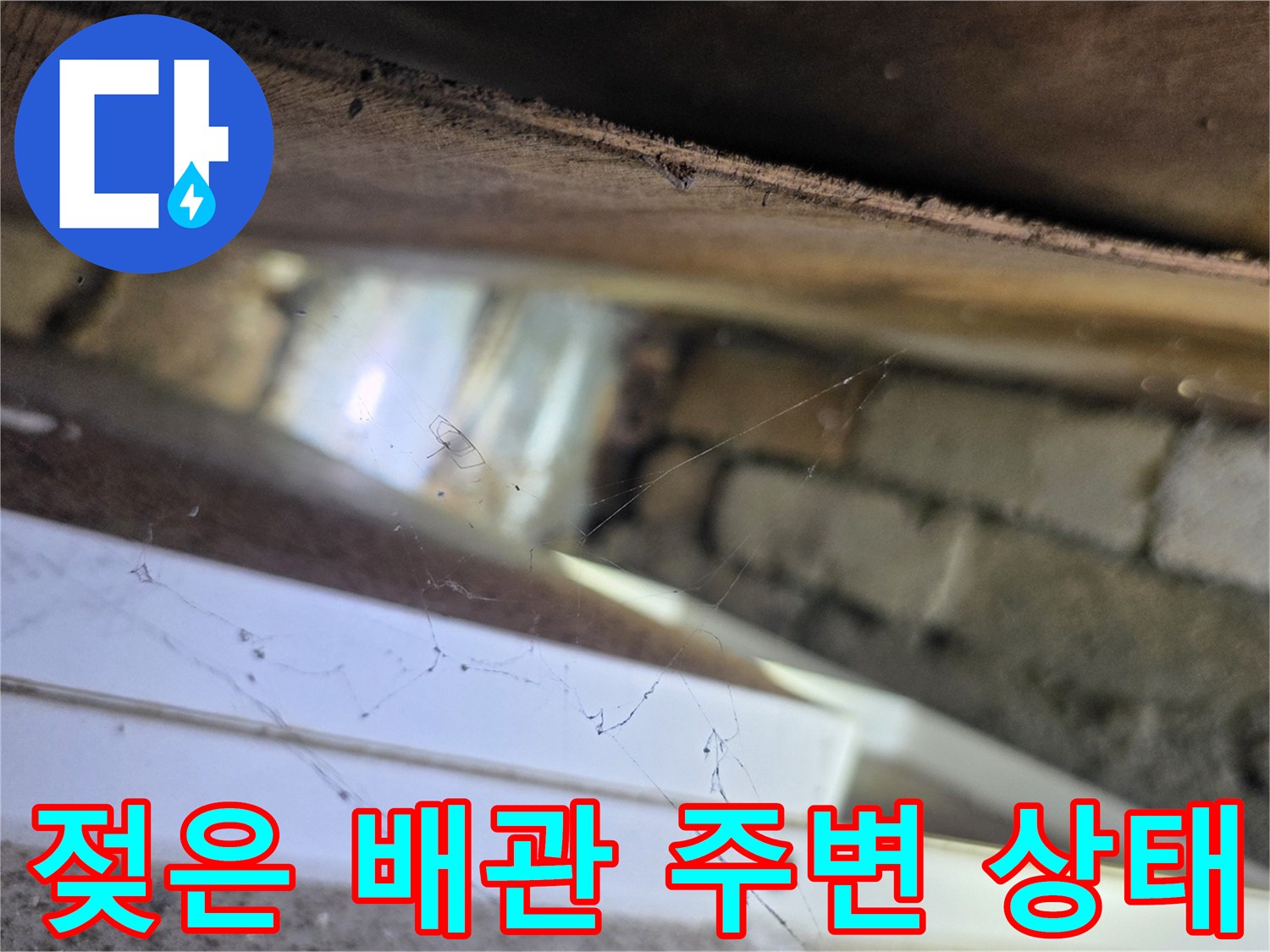 양재동 누수 현장-배관 근처의 습윤한 콘크리트 면
