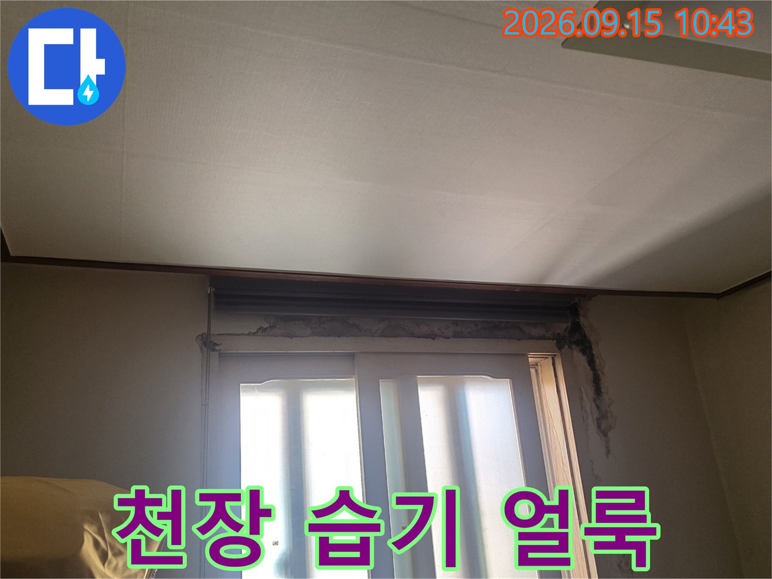 천장과 벽면 경계에 나타난 습기 및 물 얼룩 현상입니다.