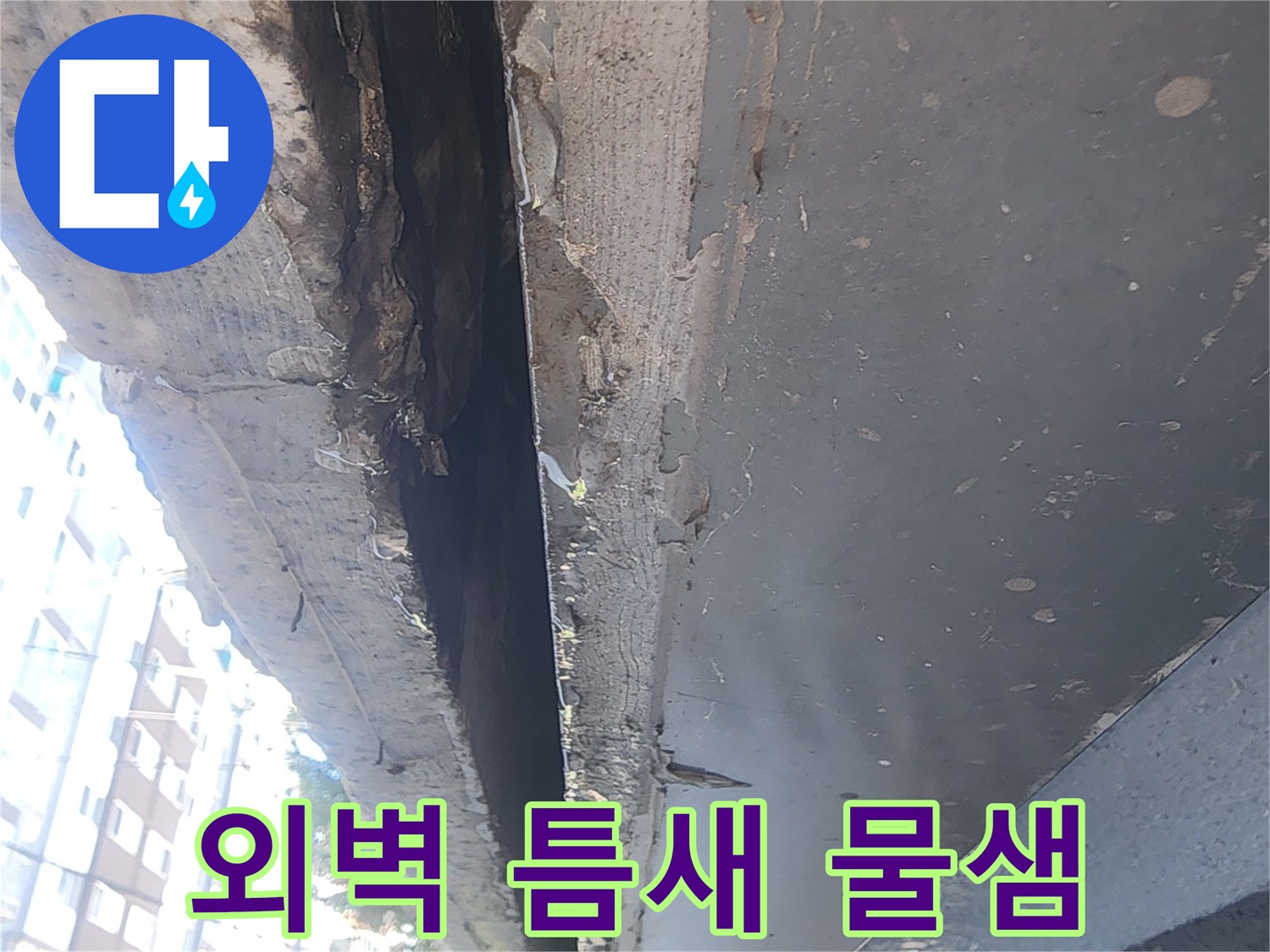 건물 하부-구조물 틈새의 젖은 부위