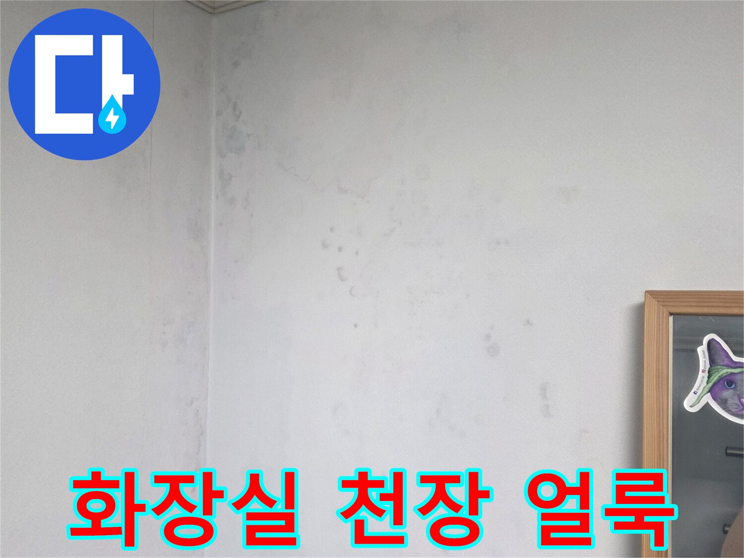 남양주 오남읍 화장실 천장 벽면에 발생한 습기와 얼룩 상태