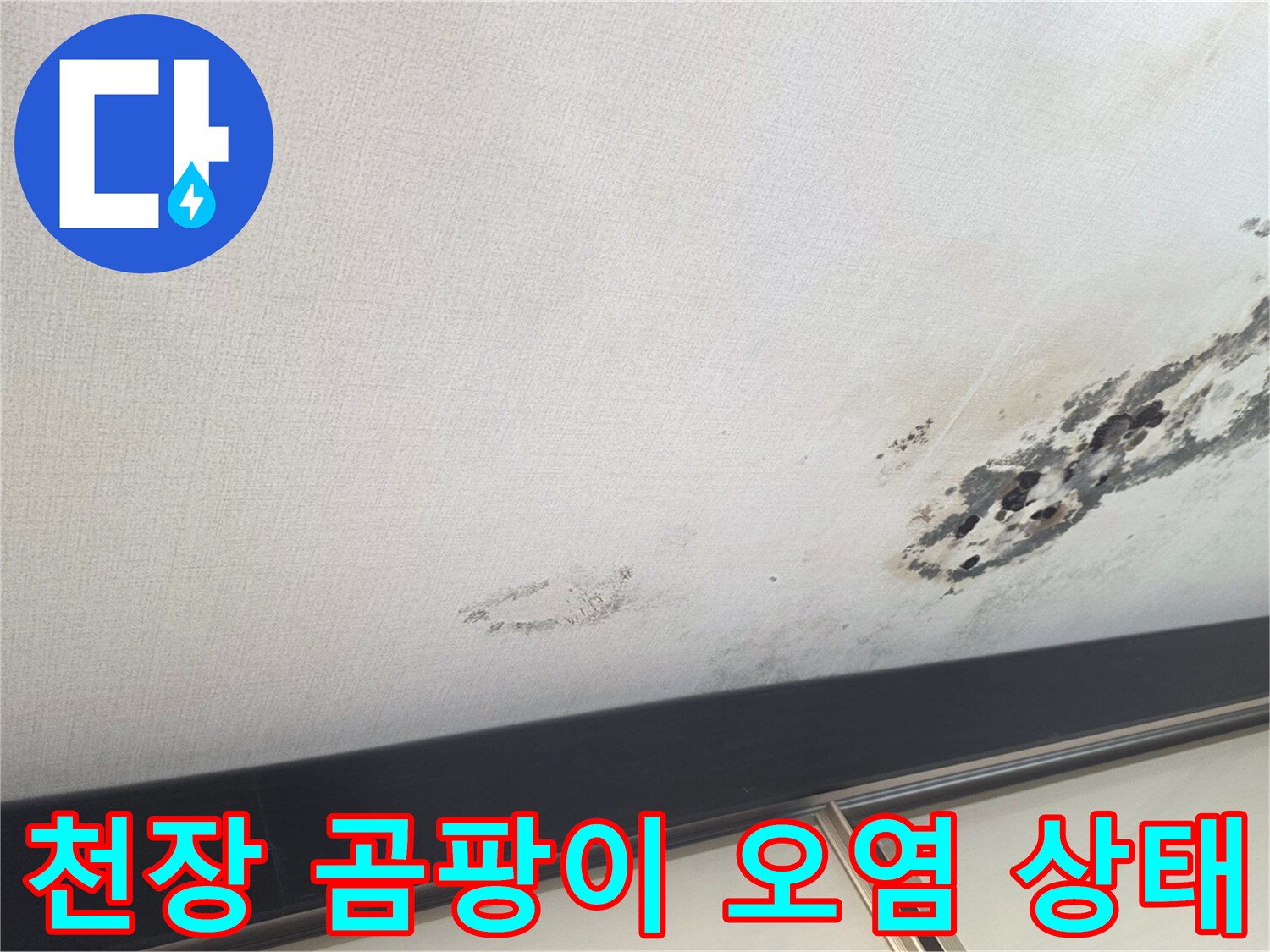 오염된 베란다 천장의 젖은 부위와 검은 곰팡이 패턴