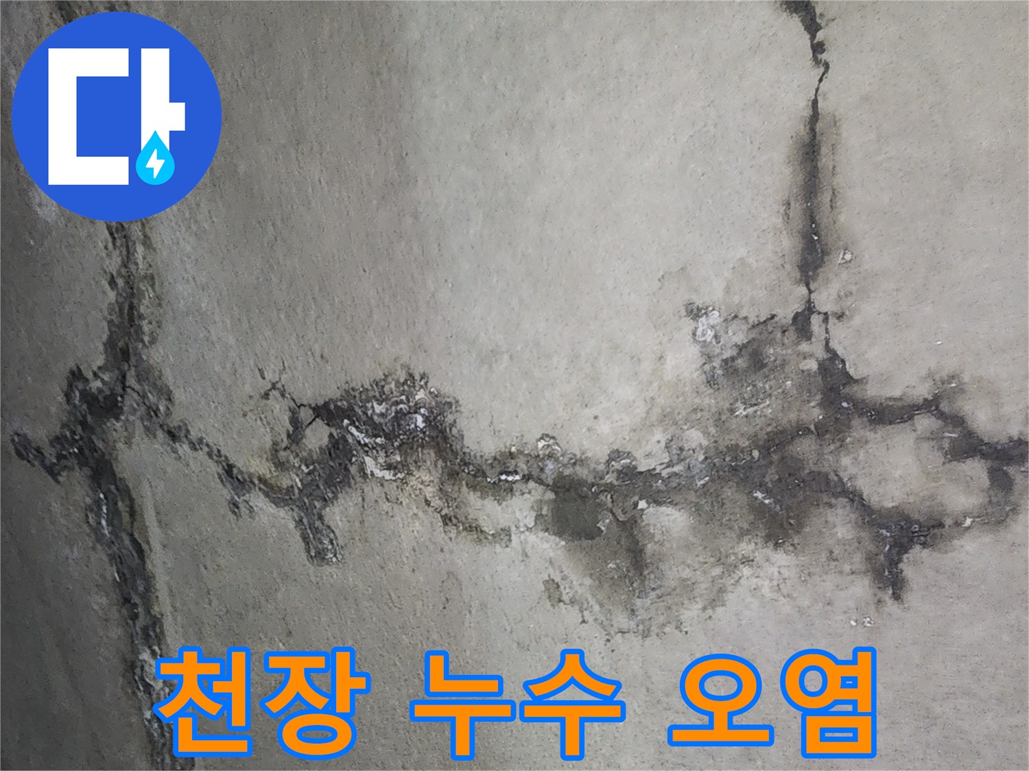 천장 표면에 발생한 검은색 수분 침투 흔적과 얼룩